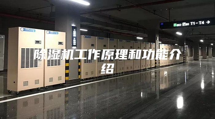 除湿机工作原理和功能介绍