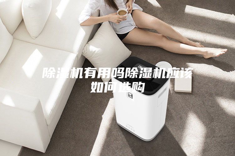 除湿机有用吗除湿机应该如何选购