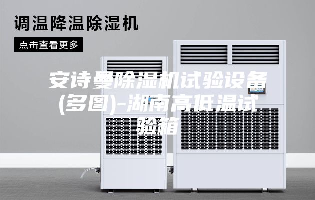 安诗曼除湿机试验设备(多图)-湖南高低温试验箱