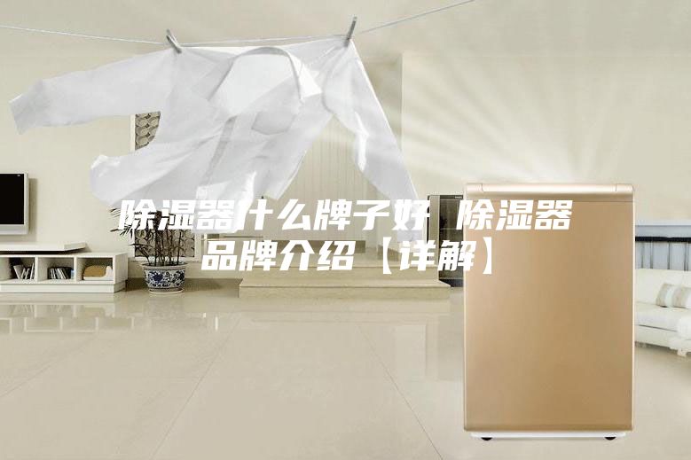 除湿器什么牌子好 除湿器品牌介绍【详解】