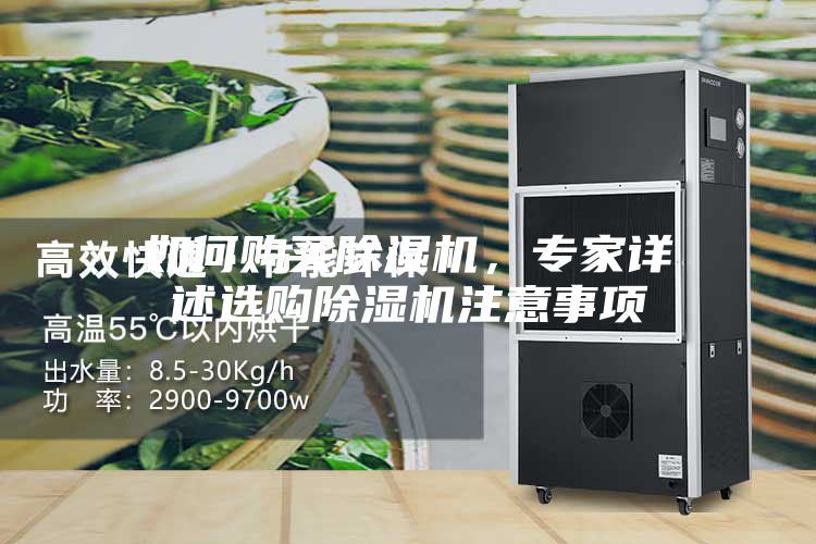 如何购买除湿机，专家详述选购除湿机注意事项