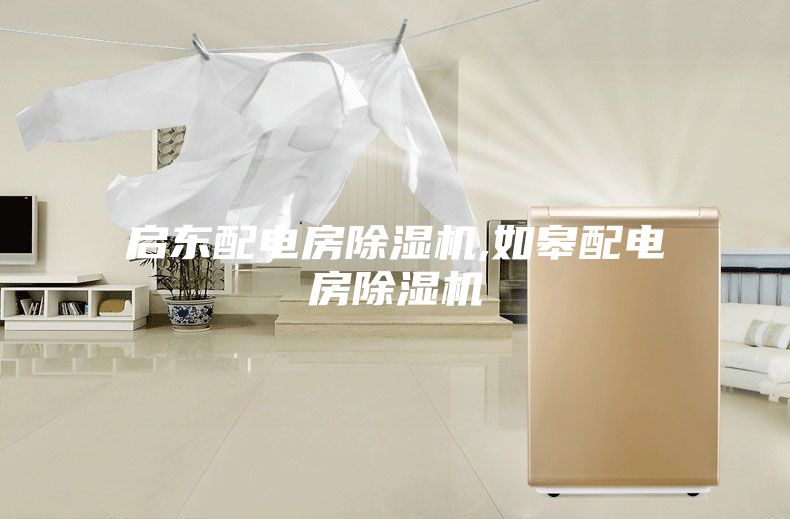 启东配电房除湿机,如皋配电房除湿机