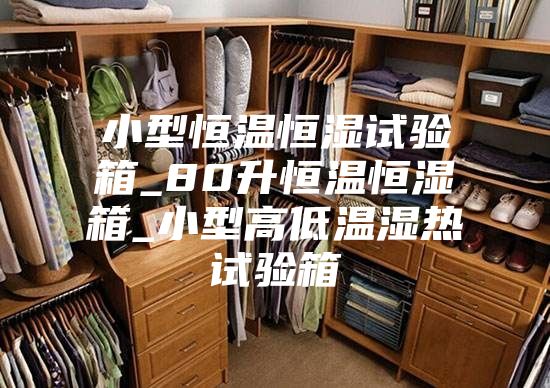 小型恒温恒湿试验箱_80升恒温恒湿箱_小型高低温湿热试验箱