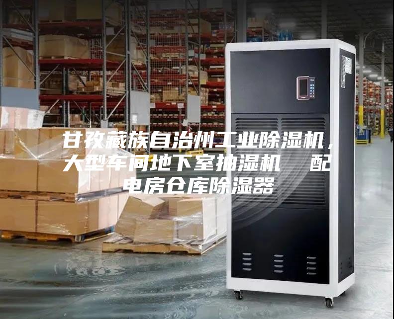 甘孜藏族自治州工业除湿机，大型车间地下室抽湿机  配电房仓库除湿器
