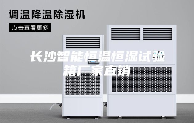 长沙智能恒温恒湿试验箱厂家直销