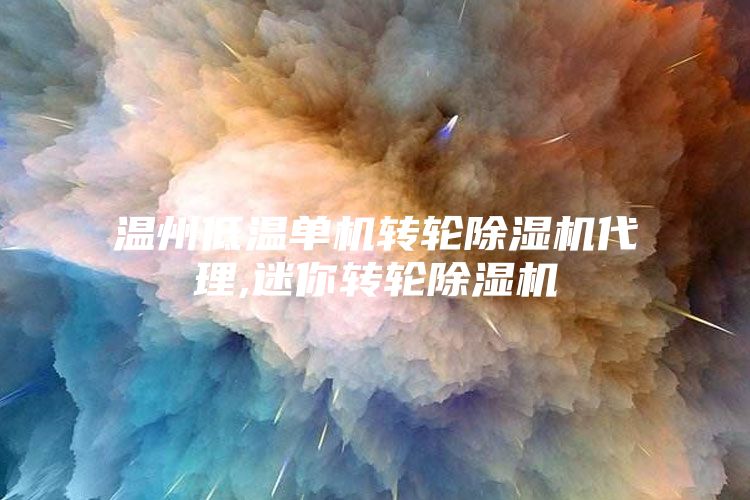 温州低温单机转轮除湿机代理,迷你转轮除湿机