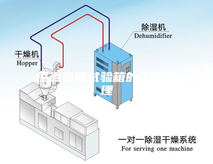 恒温恒湿试验箱的工作原理