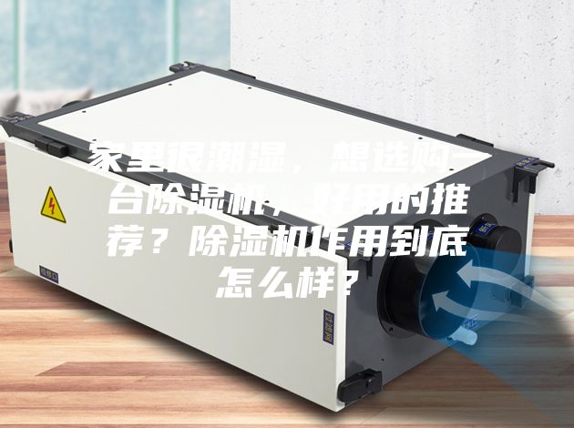 家里很潮湿，想选购一台除湿机，好用的推荐？除湿机作用到底怎么样？