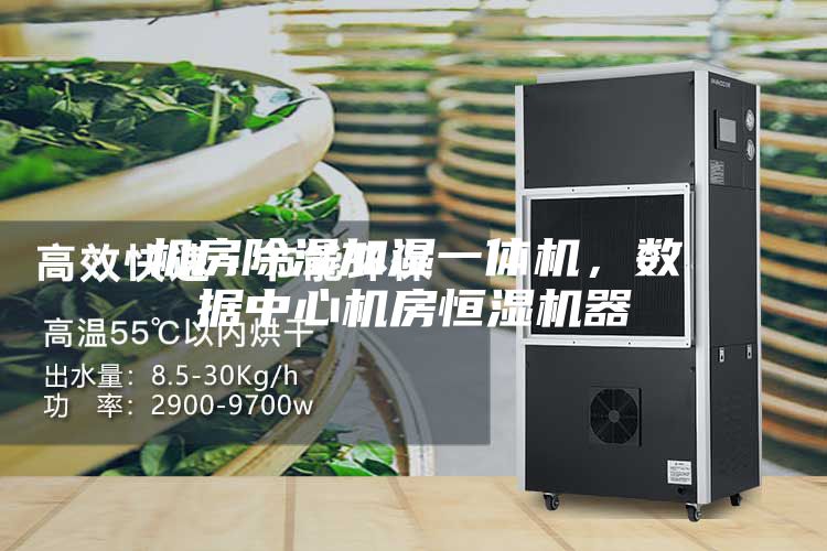 机房除湿加湿一体机，数据中心机房恒湿机器