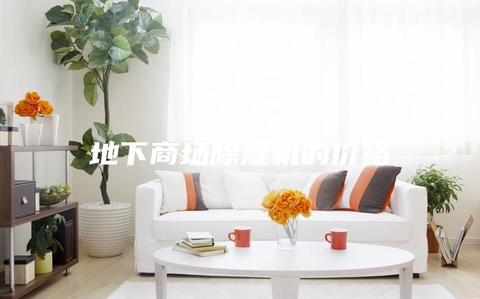 地下商场除湿机的价格