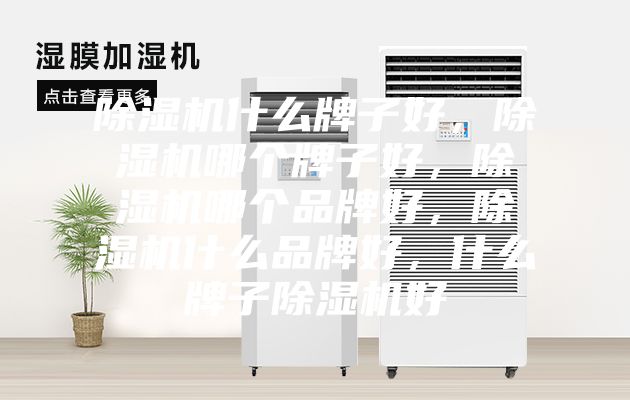 除湿机什么牌子好，除湿机哪个牌子好，除湿机哪个品牌好，除湿机什么品牌好，什么牌子除湿机好