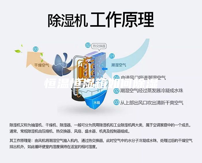 恒温恒湿箱如何除湿