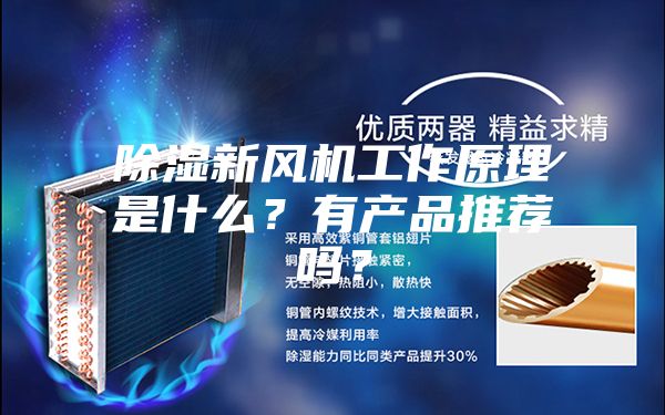 除湿新风机工作原理是什么？有产品推荐吗？
