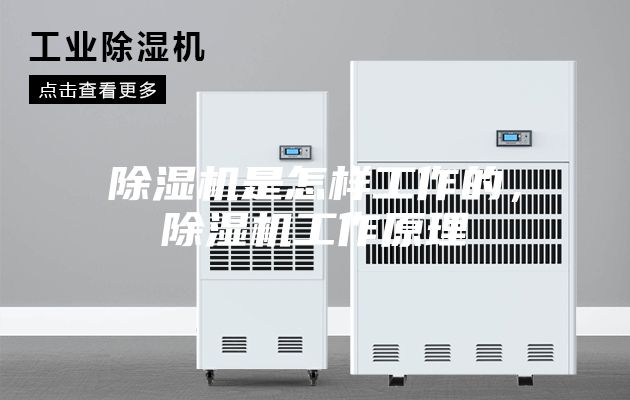 除湿机是怎样工作的，除湿机工作原理