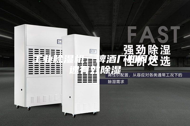 工业除湿机：啤酒厂如何快速有效除湿