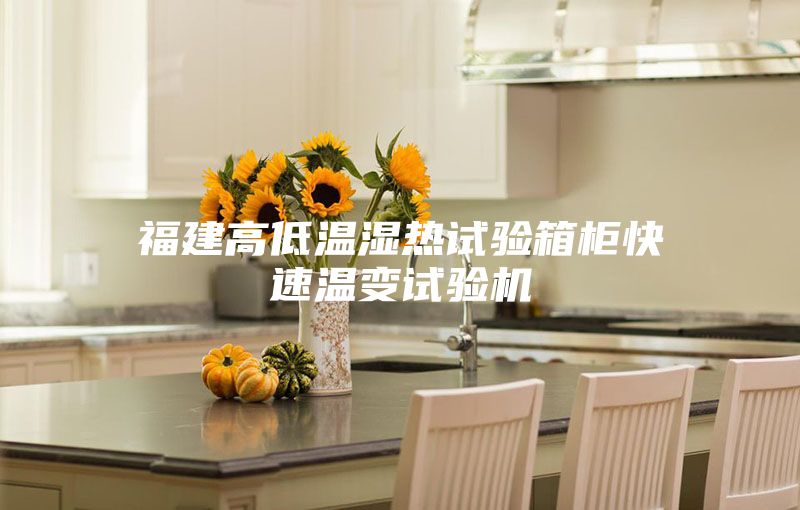 福建高低温湿热试验箱柜快速温变试验机