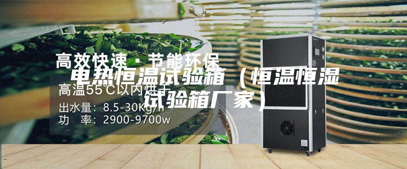 电热恒温试验箱（恒温恒湿试验箱厂家）