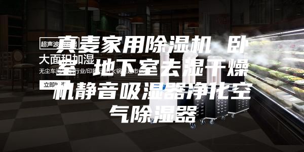 真麦家用除湿机 卧室 地下室去湿干燥机静音吸湿器净化空气除湿器