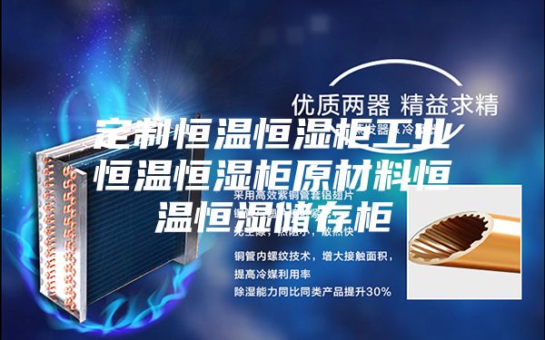 定制恒温恒湿柜工业恒温恒湿柜原材料恒温恒湿储存柜