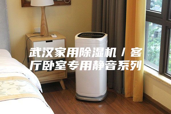 武汉家用除湿机／客厅卧室专用静音系列