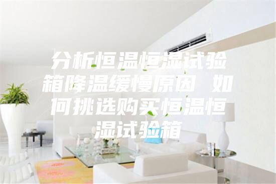 分析恒温恒湿试验箱降温缓慢原因 如何挑选购买恒温恒湿试验箱