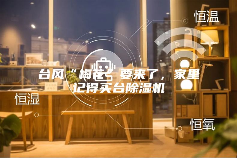 台风“梅花”要来了，家里记得买台除湿机