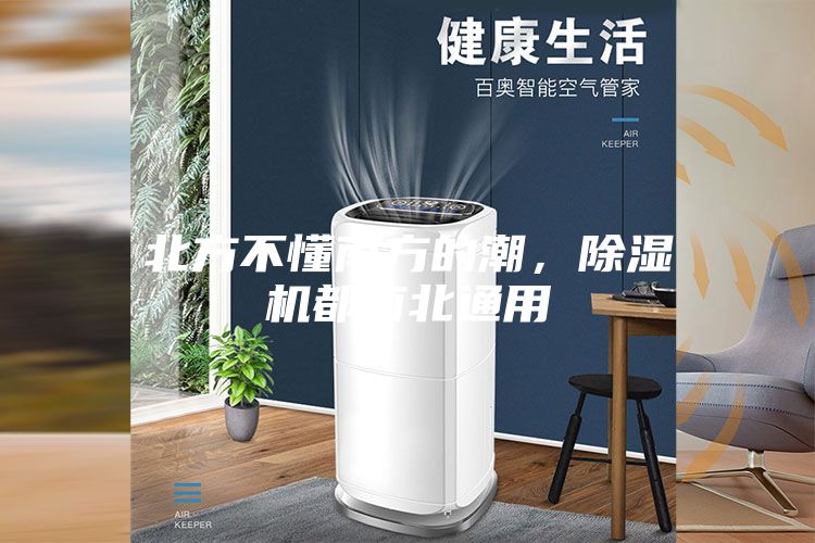 北方不懂南方的潮，除湿机都南北通用