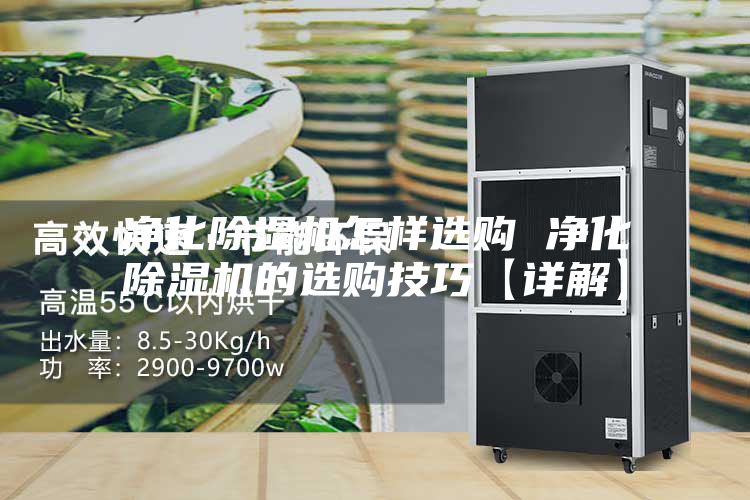 净化除湿机怎样选购 净化除湿机的选购技巧【详解】