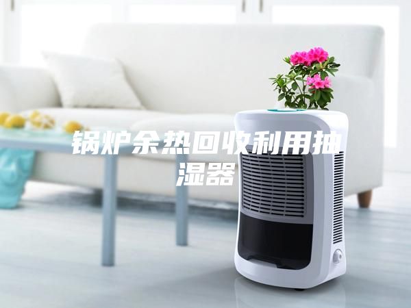 锅炉余热回收利用抽湿器