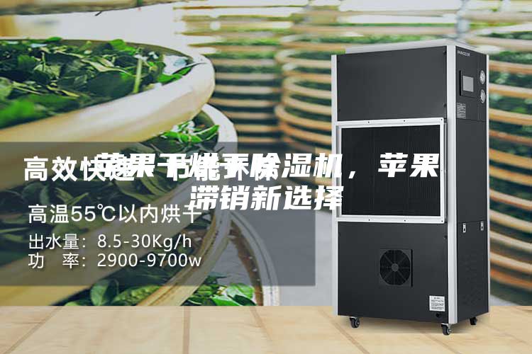 苹果干烘干除湿机，苹果滞销新选择