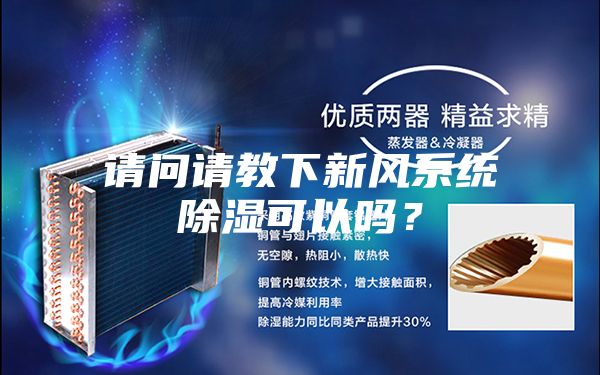 请问请教下新风系统除湿可以吗？