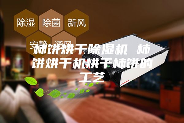 柿饼烘干除湿机 柿饼烘干机烘干柿饼的工艺