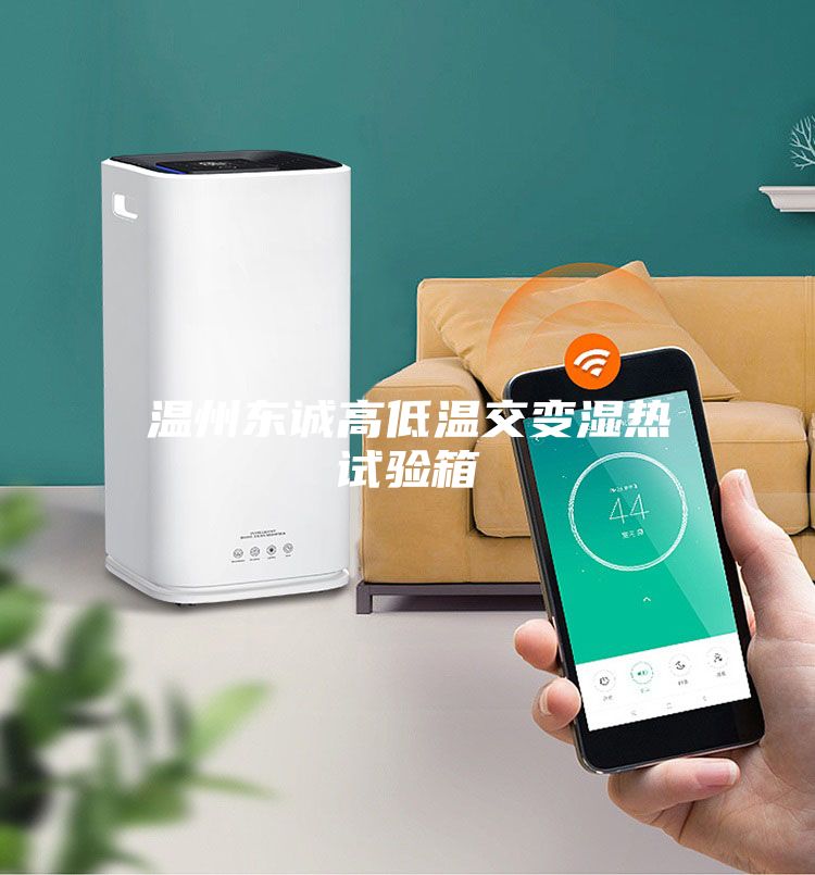 温州东诚高低温交变湿热试验箱