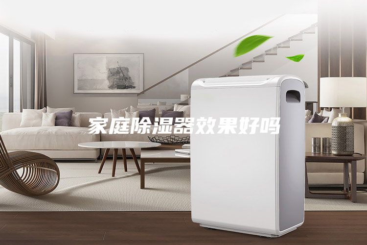 家庭除湿器效果好吗