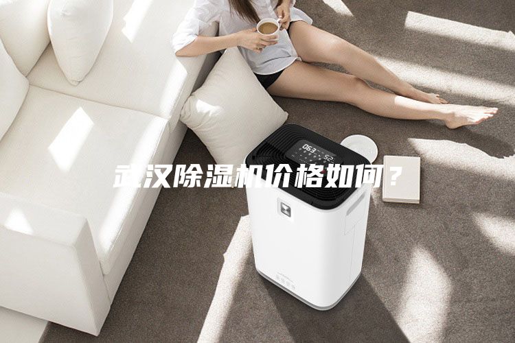 武汉除湿机价格如何？