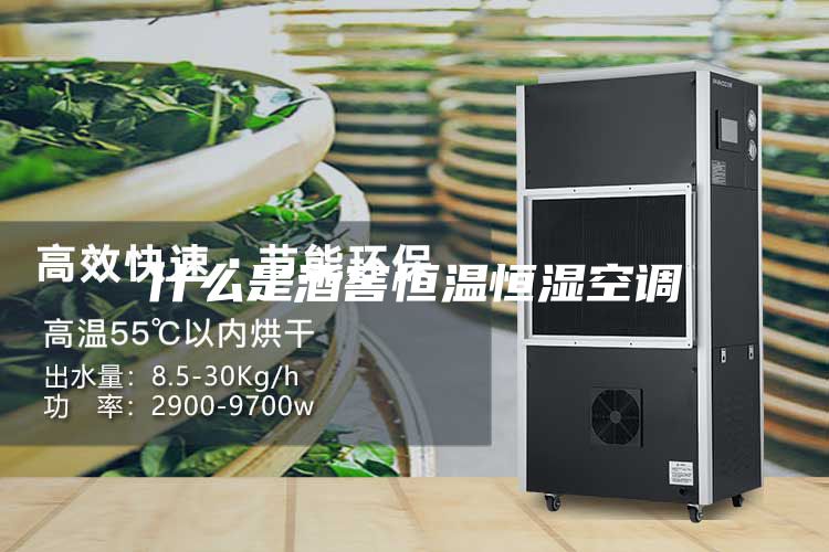 什么是酒窖恒温恒湿空调