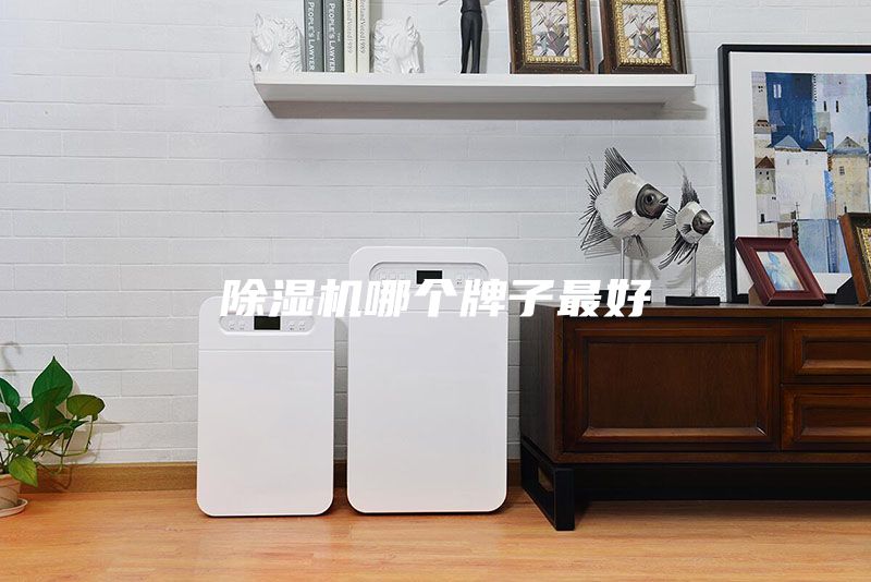 除湿机哪个牌子最好