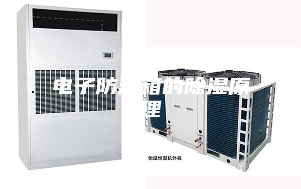 电子防潮箱的除湿原理