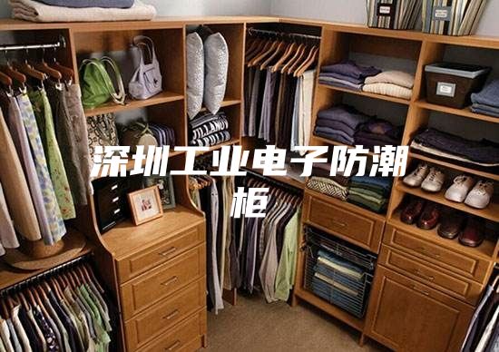 深圳工业电子防潮柜