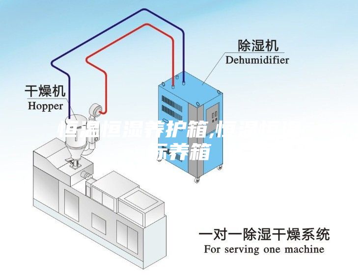 恒温恒湿养护箱,恒温恒湿标养箱