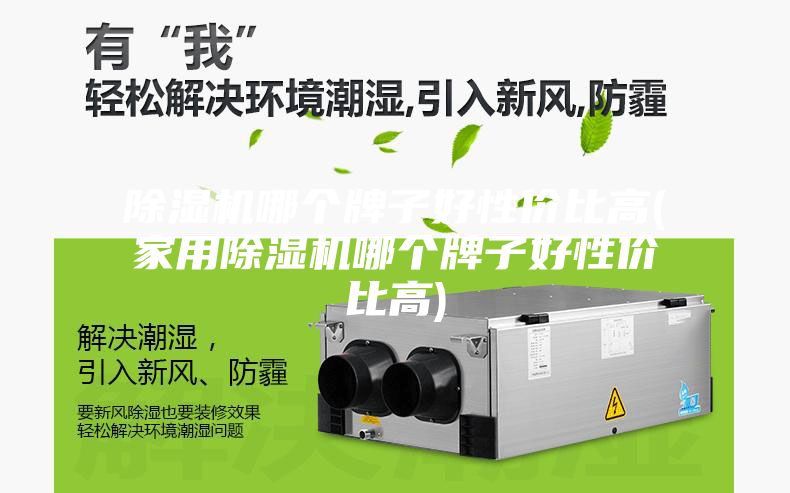 除湿机哪个牌子好性价比高(家用除湿机哪个牌子好性价比高)