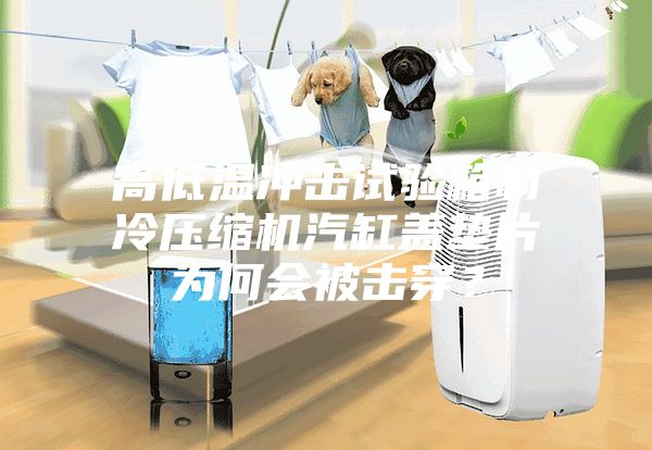 高低温冲击试验箱制冷压缩机汽缸盖垫片为何会被击穿？