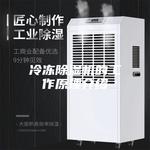 冷冻除湿机的工作原理介绍