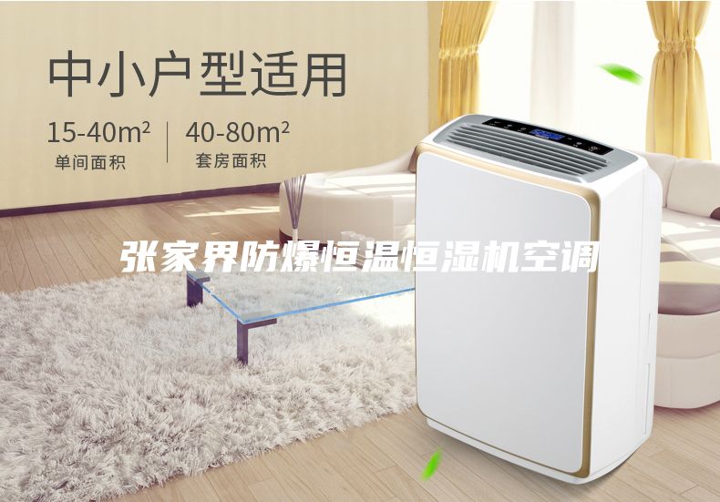 张家界防爆恒温恒湿机空调