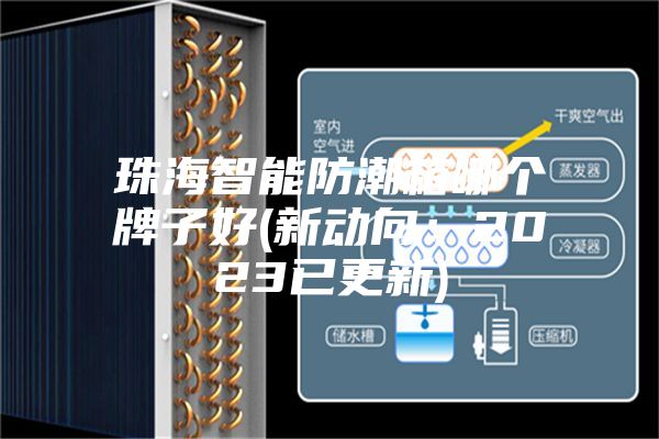 珠海智能防潮箱哪个牌子好(新动向：2023已更新)