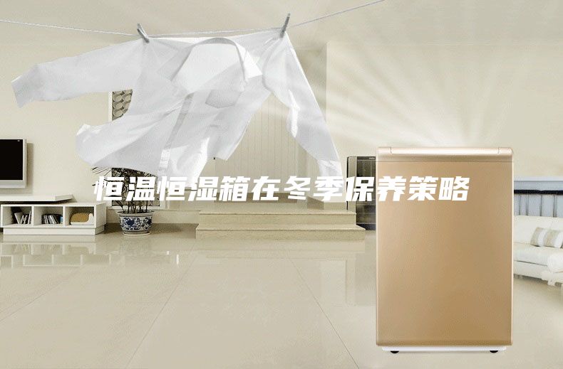 恒温恒湿箱在冬季保养策略