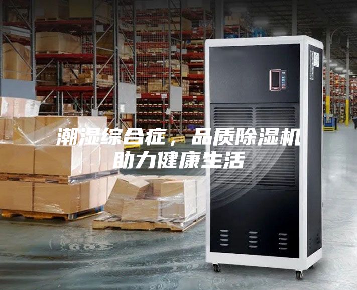 潮湿综合症，品质除湿机助力健康生活