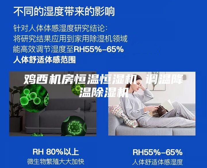 鸡西机房恒温恒湿机 调温降温除湿机