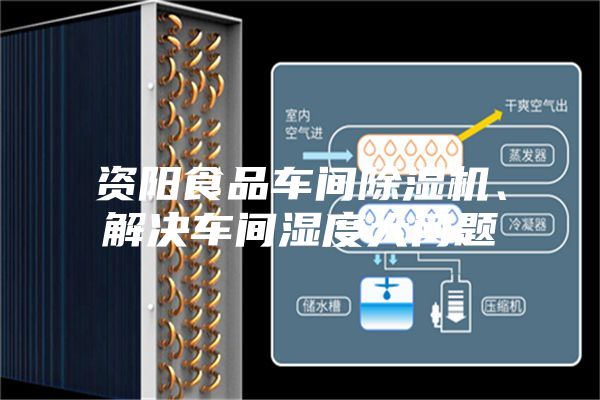 资阳食品车间除湿机、解决车间湿度大问题