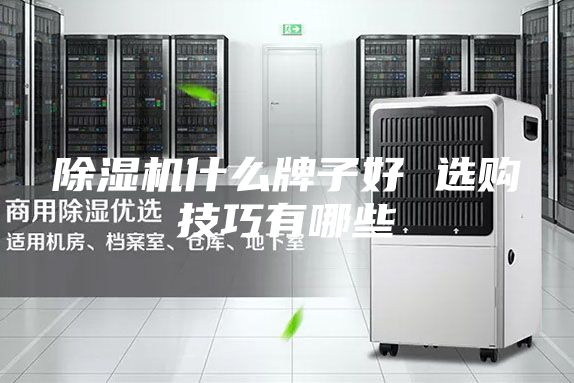 除湿机什么牌子好 选购技巧有哪些